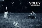 Vóley, de ADOLFO KAPLAN GASMAN | portada del libro