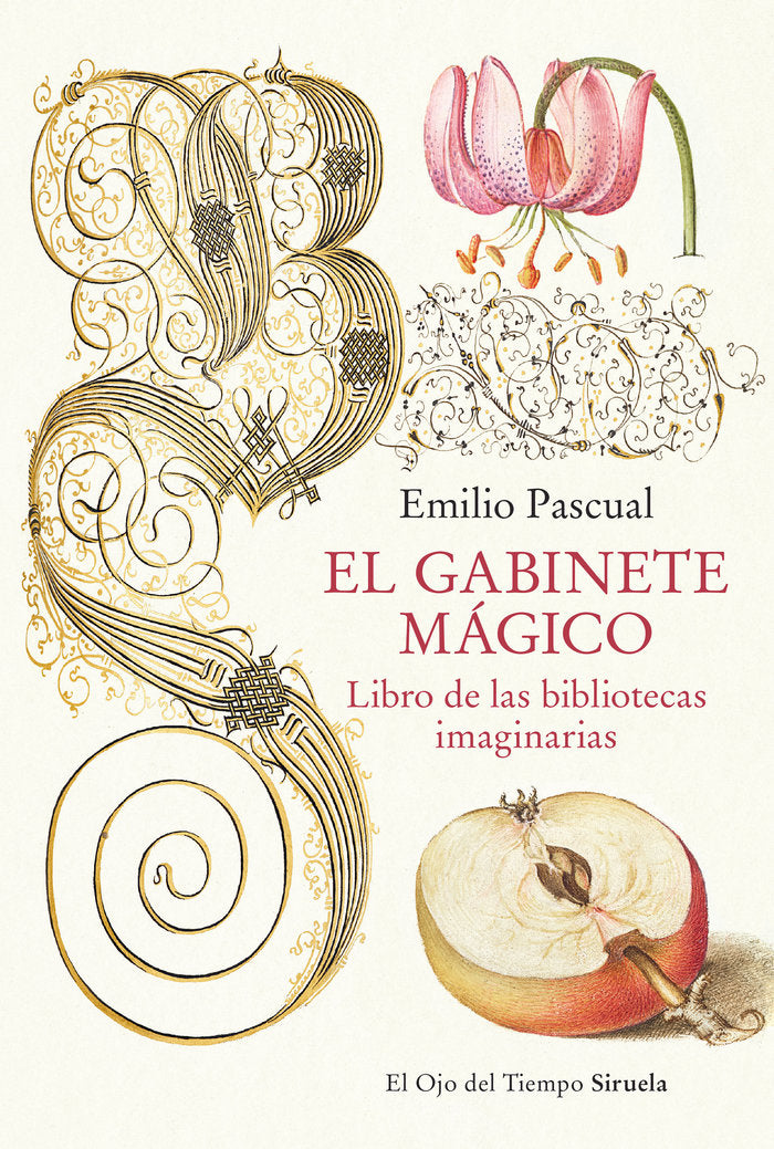 GABINETE MAGICO:LIBRO DE LAS BIBLIOTECAS IMAGINARIAS, de PASCUAL, EMILIO | portada del libro