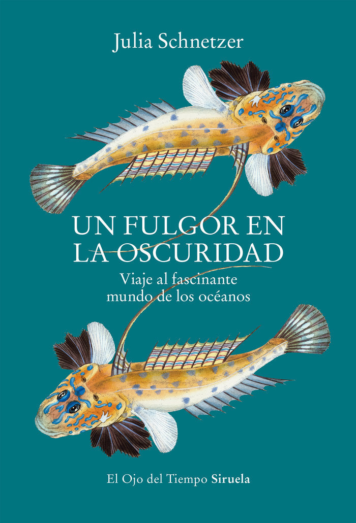 UN FULGOR EN LA OSCURIDAD, de SCHNETZER, JULIA | portada del libro