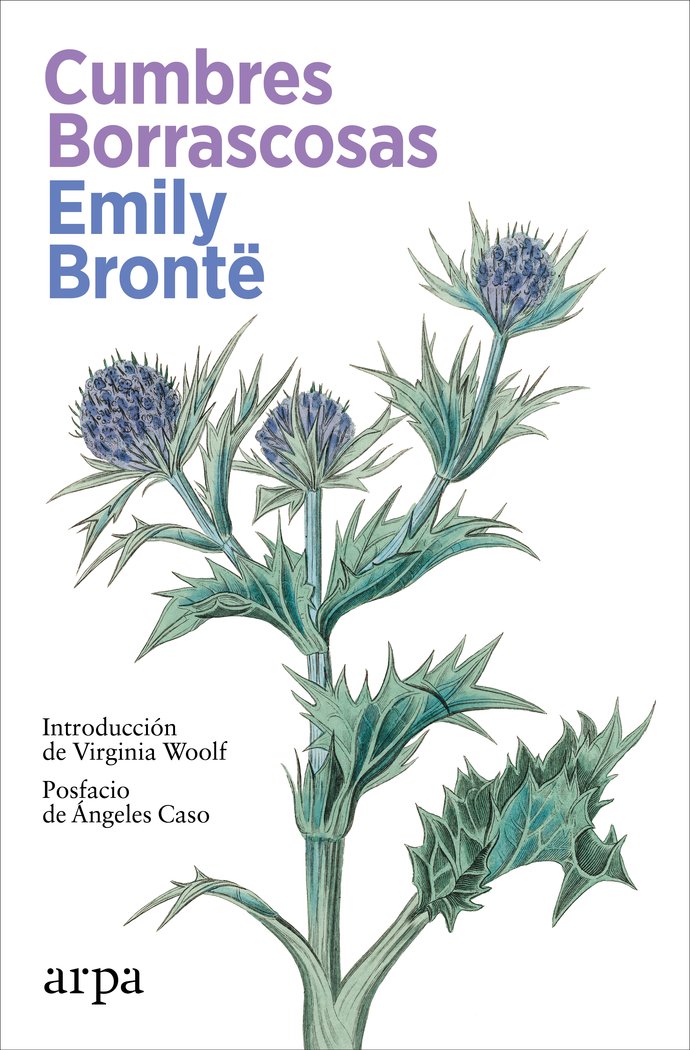 Cumbres Borrascosas, de BRONTE,EMILY | portada del libro