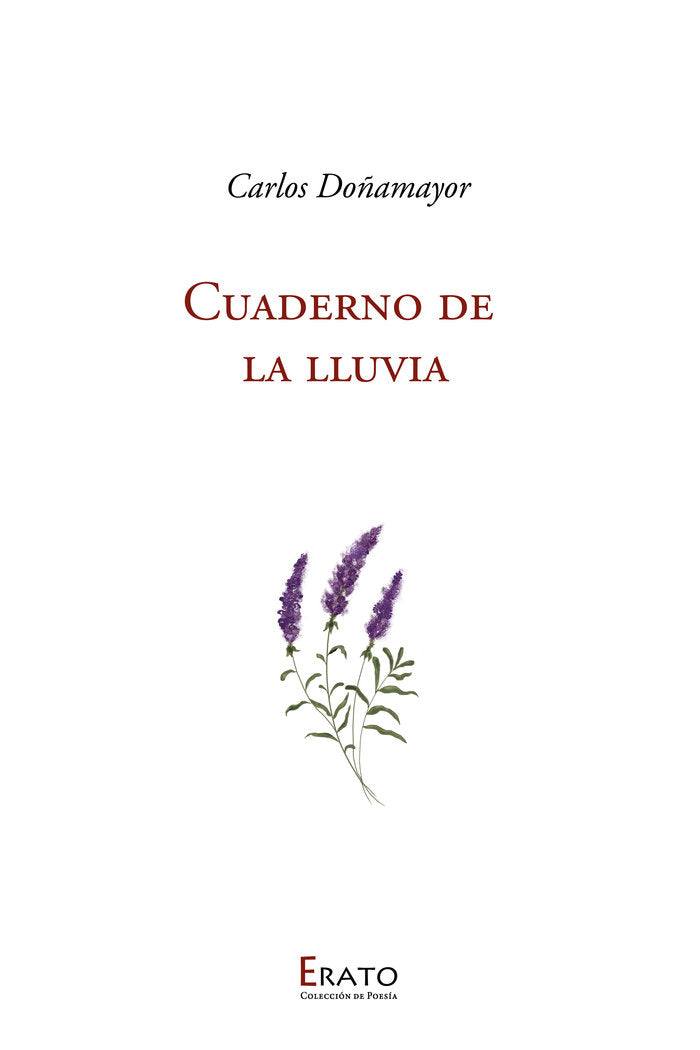 CUADERNO DE LA LLUVIA, de CARLOS DOÑAMAYOR | portada del libro