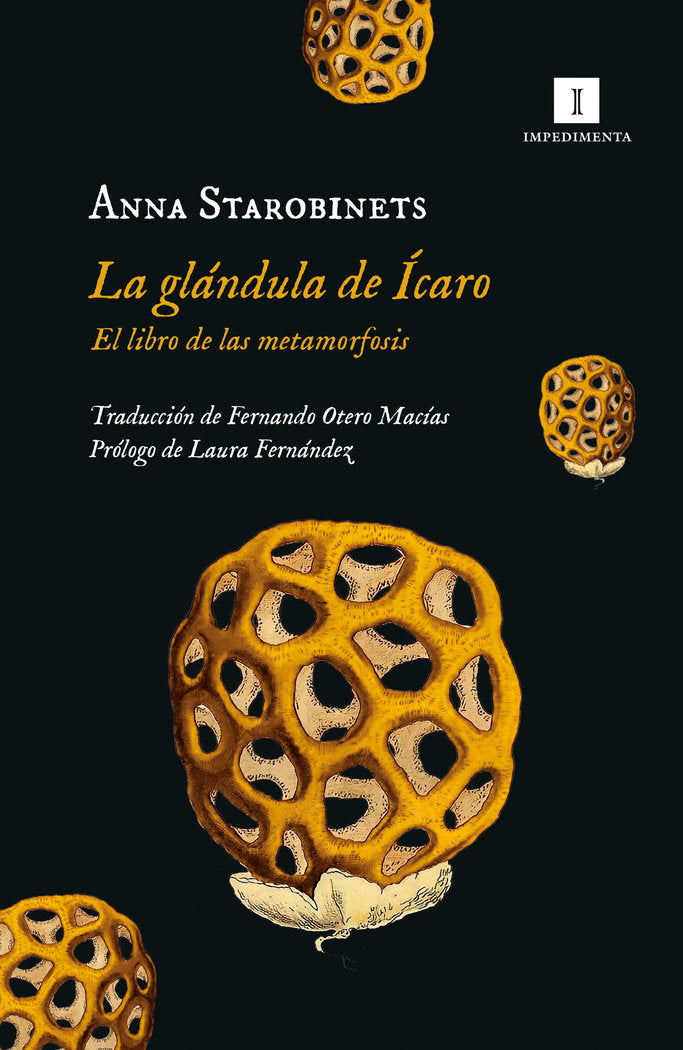 GLANDULA DE ICARO,LA, de STAROBINETS,ANNA | portada del libro