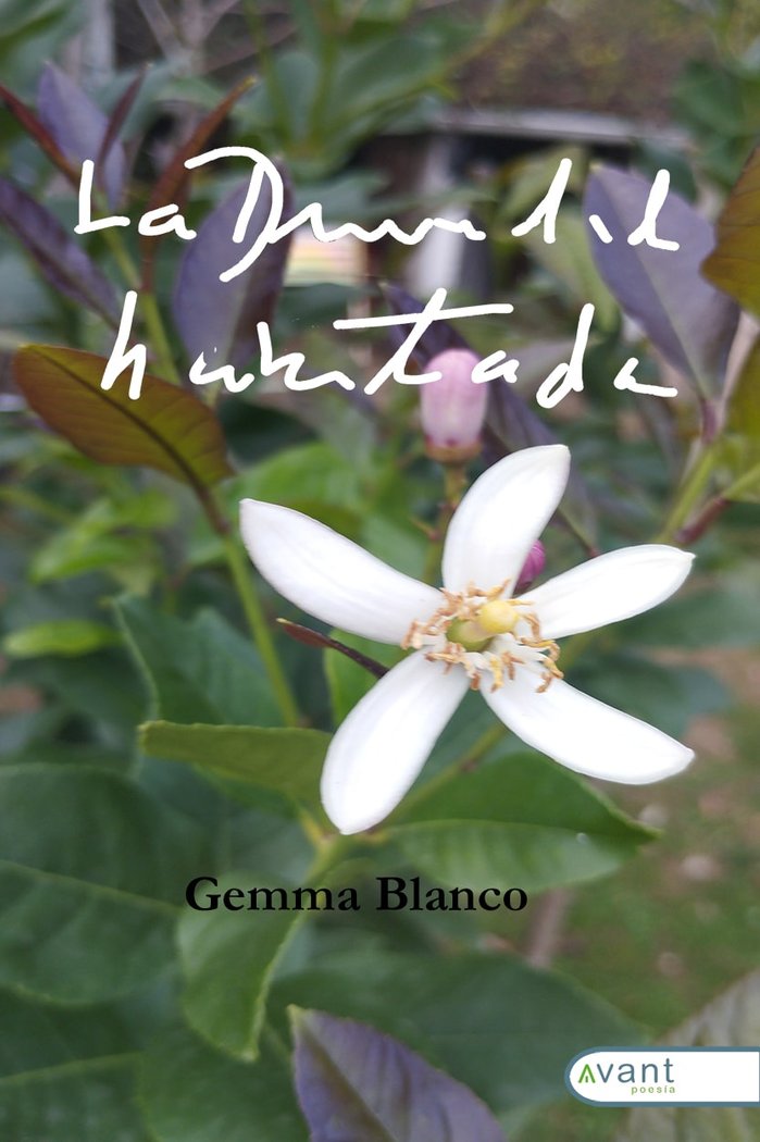 LA DIVINIDAD HABITADA, de Blanco, Gemma | portada del libro