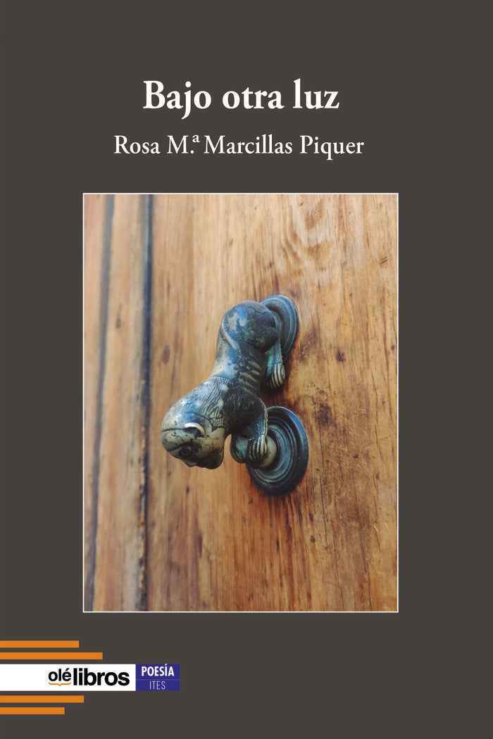 Bajo otra luz, de Marcillas Piquer, Rosa M.ª | portada del libro