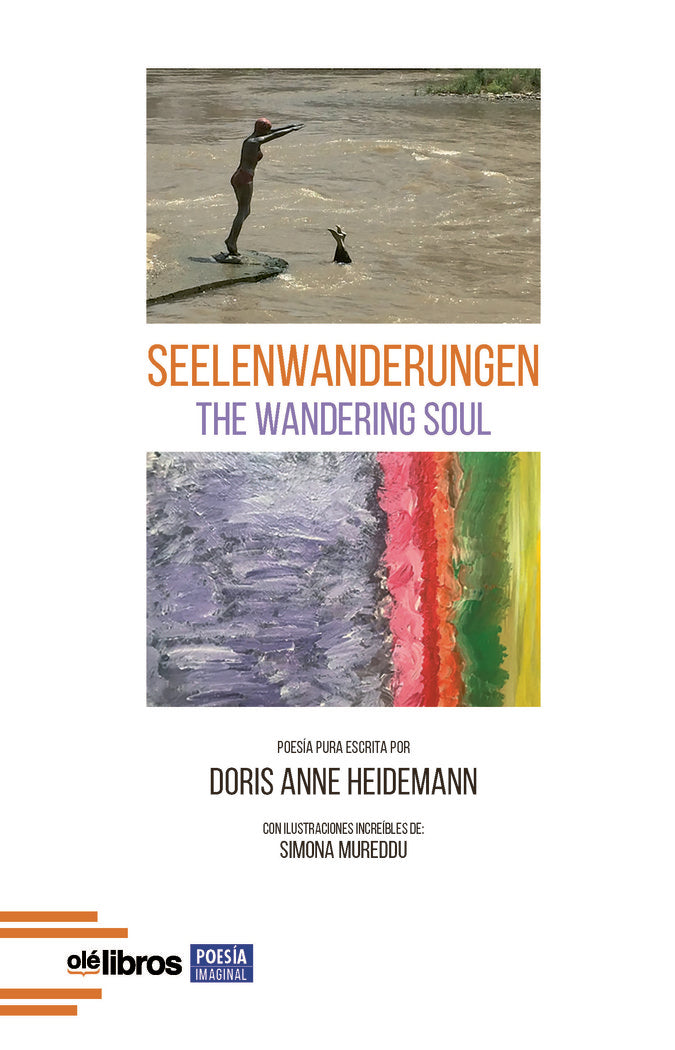 Seelenwanderungen, de Heidemann, Doris Anne | portada del libro
