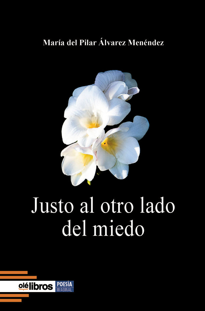 Justo al otro lado del miedo, de Álvarez Ménendez, María del Pilar | portada del libro