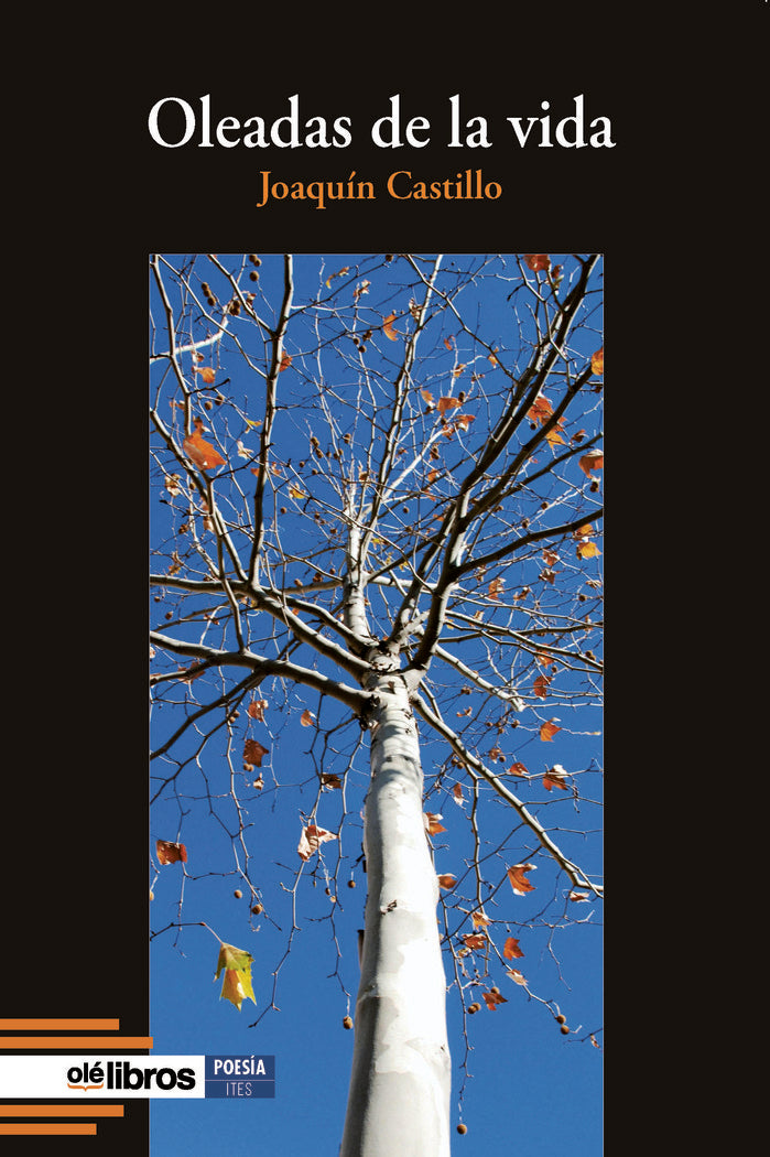 Oleadas de la vida, de Castillo Blanco, Joaquín | portada del libro
