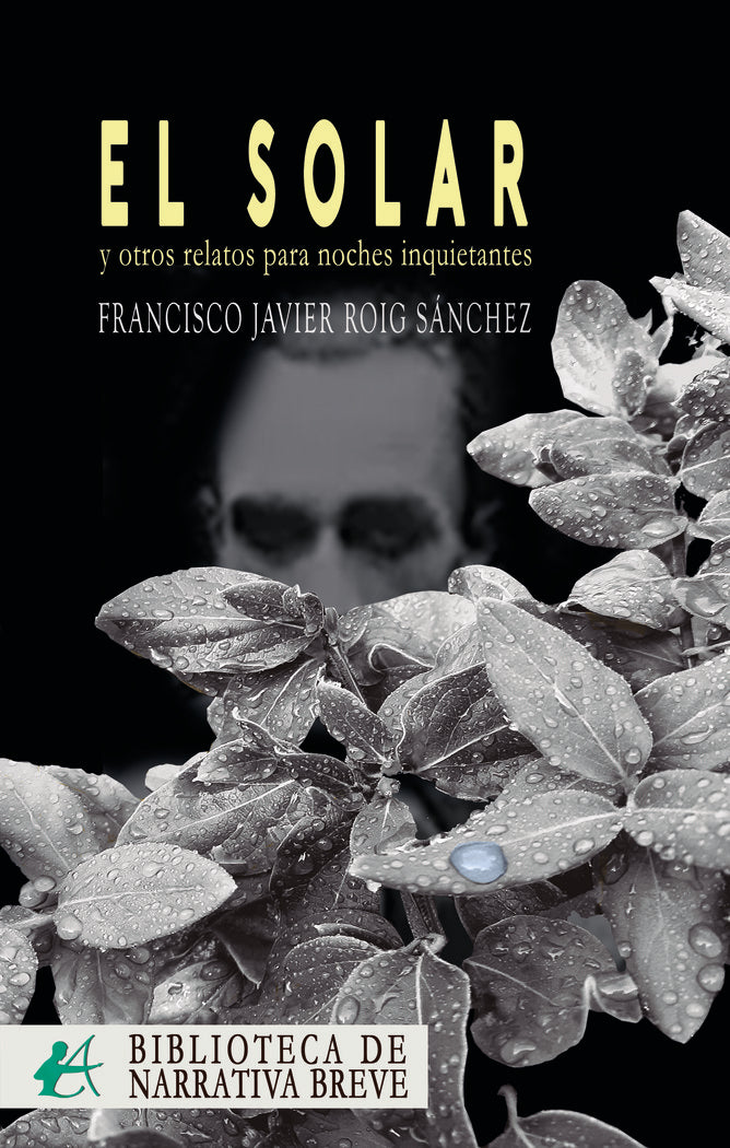 El solar y otros relatos para noches inquietantes, de Roig Sánchez, Francisco Javier | portada del libro
