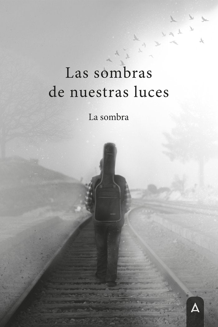 Las sombras de nuestras luces, de , La sombra | portada del libro