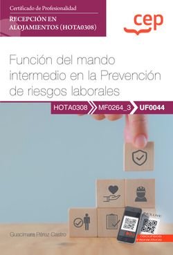 MANUAL FUNCION DEL MANDO INTERMEDIO EN LA PREVENCION DE RIE, de GUACIMARA PEREZ CASTRO | portada del libro