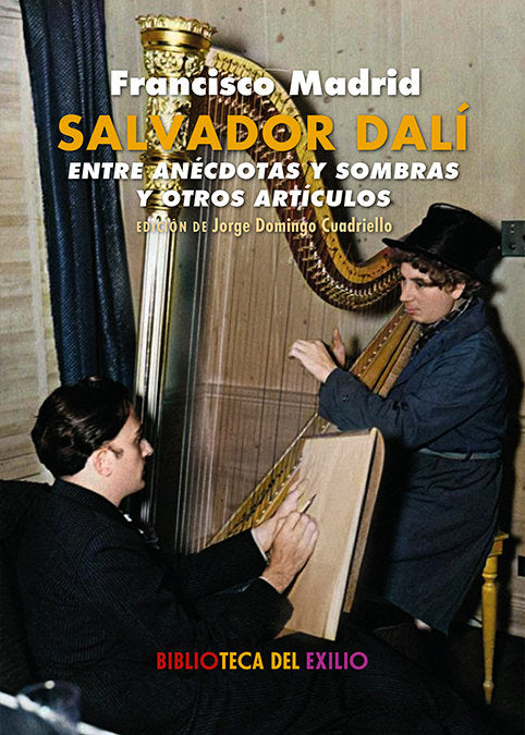 SALVADOR DALI ENTRE ANECDOTAS Y SOMBRAS, de MADRID, FRANCISCO | portada del libro