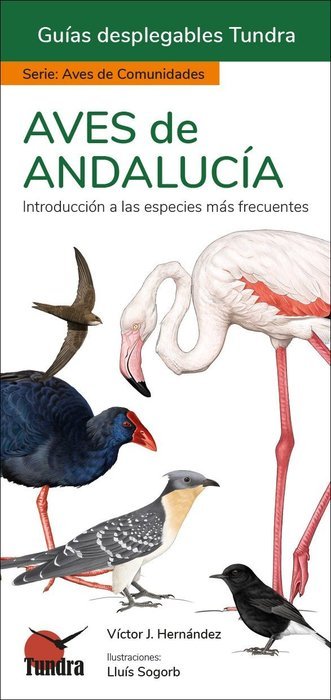 AVES DE ANDALUCIA - GUIAS DESPLEGABLES TUNDRA, de HERNANDEZ | portada del libro