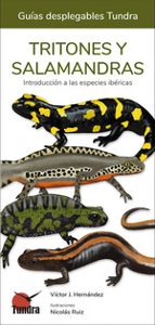 TRITONES Y SALAMANDRAS - GUIAS DESPLEGABLES TUNDRA, de Víctor J. Hernández | portada del libro