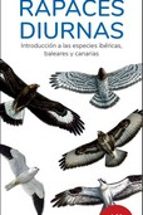RAPACES DIURNAS (16ª ED.): GUIAS DEPLEGABLES TUNDRA, de Víctor J. Hernández | portada del libro