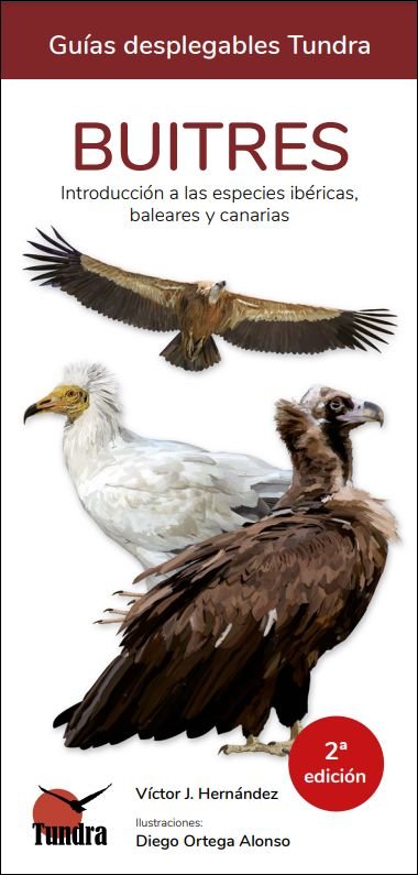 BUITRES -GUIAS DESPLEGABLES TUNDRA, de HERNANDEZ NAVARRO | portada del libro