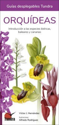 ORQUIDEAS - GUIAS DESPLEGABLES TUNDRA, de VICTOR J HERNANDEZ | portada del libro