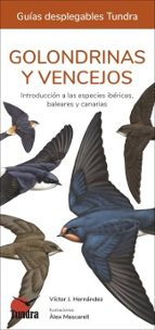 GOLONDRINAS Y VENCEJOS - GUIAS DESPLEGABLES TUNDRA, de Víctor J. Hernández | portada del libro