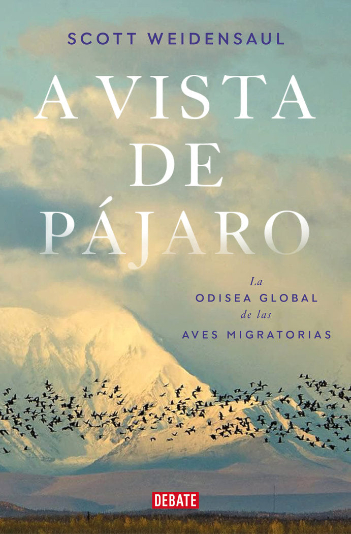 A VISTA DE PAJARO, de WEIDENSAUL, SCOTT | portada del libro