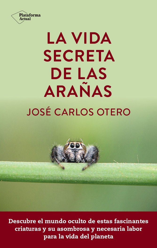 LA VIDA SECRETA DE LAS ARAÑAS, de OTERO, JOSE CARLOS | portada del libro