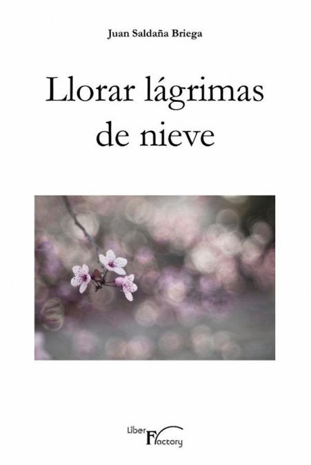 LLORAR LAGRIMAS DE NIEVE, de SALDAÑA BRIEGA, JUAN | portada del libro