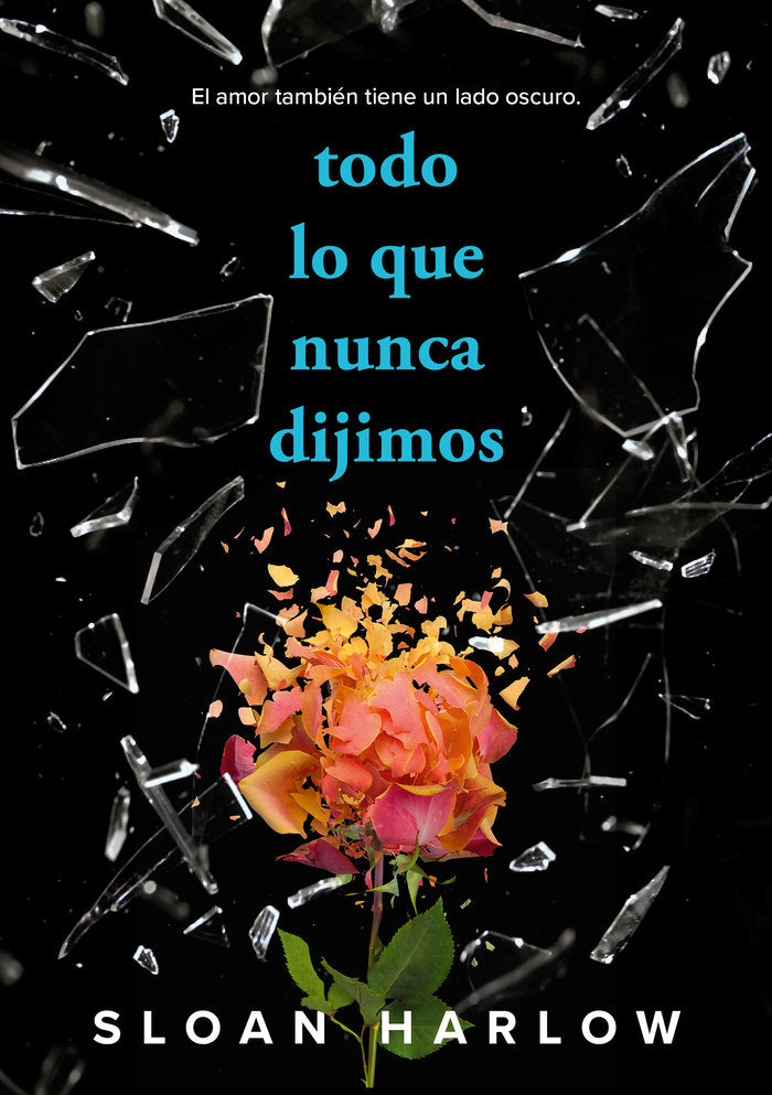 TODO LO QUE NUNCA DIJIMOS, de HARLOW, SLOAN | portada del libro