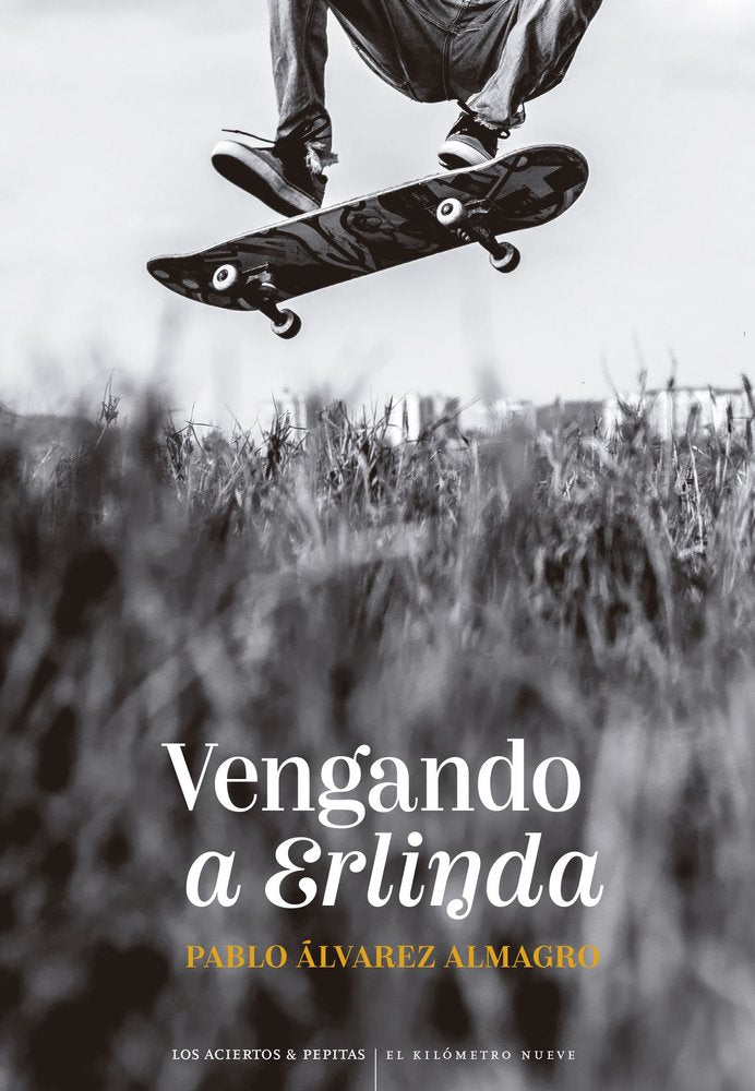 VENGANDO A ERLINDA, de ALVAREZ ALMAGRO, PABLO | portada del libro