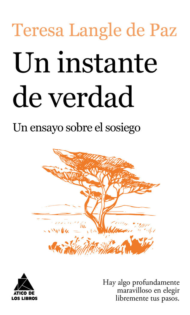 UN INSTANTE DE VERDAD, de LANGLE DE PAZ, TERESA | portada del libro