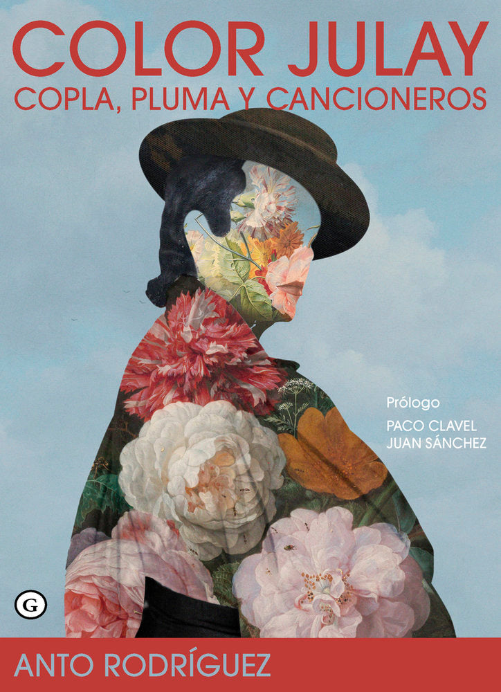 Color julay, de Rodriguez,Anto | portada del libro
