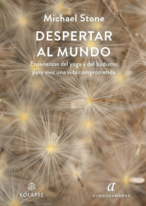 DESPERTAR AL MUNDO, de STONE, MICHAEL | portada del libro