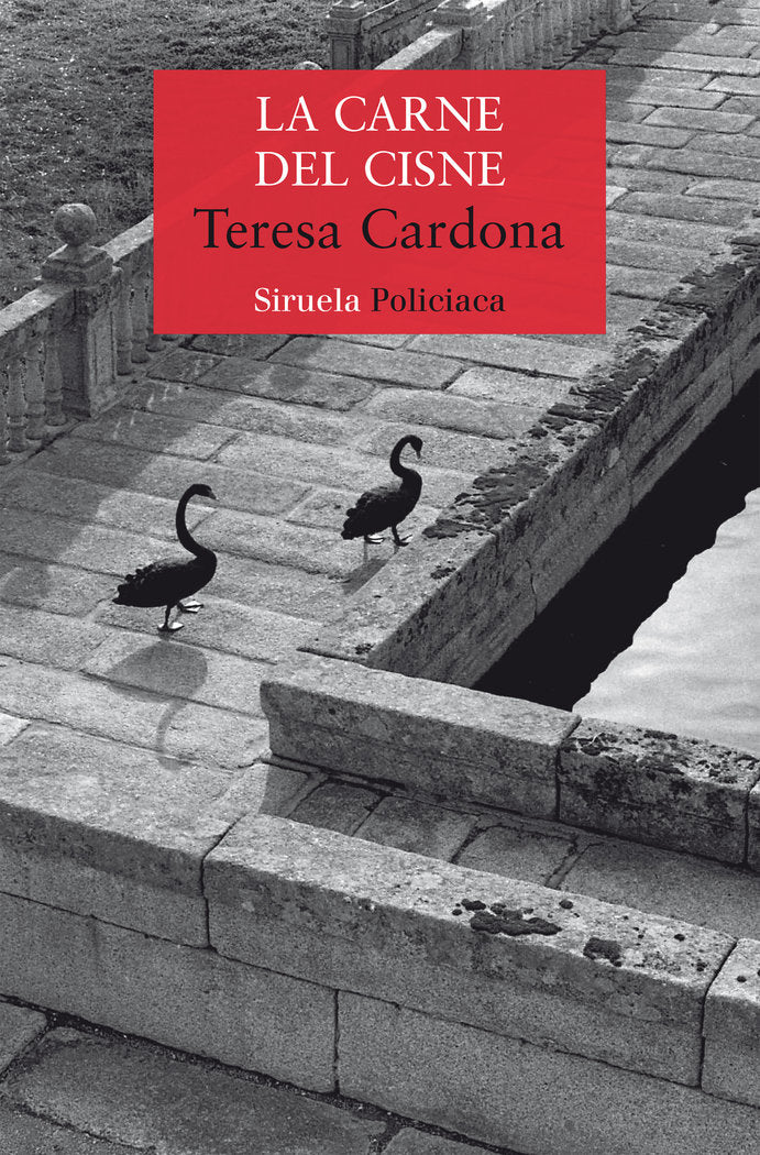 La carne del cisne, de CARDONA, TERESA | portada del libro
