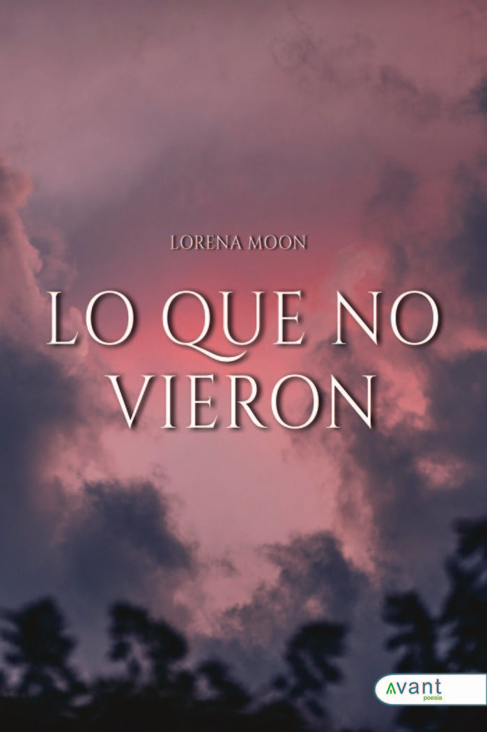 LO QUE NO VIERON, de Moon, Lorena | portada del libro