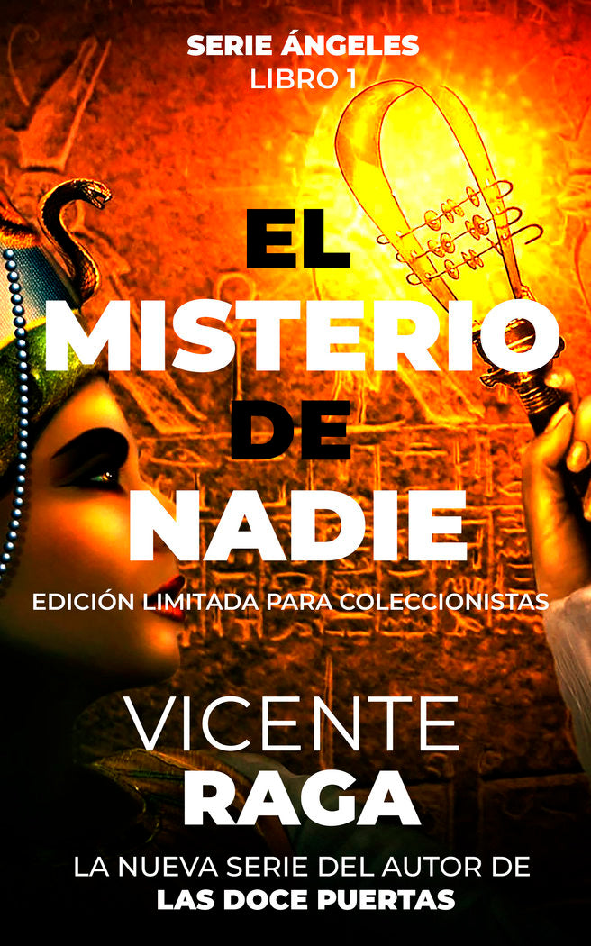 El misterio de nadie, de Raga, Vicente | portada del libro