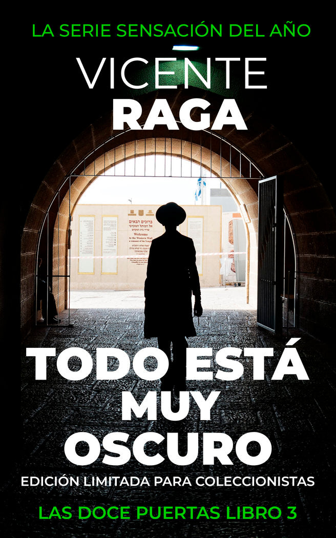Todo está muy oscuro, de Raga, Vicente | portada del libro