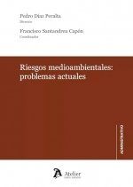 RIESGOS MEDIOAMBIENTALES: PROBLEMAS ACTUALES | portada del libro