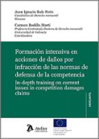 FORMACION INTENSIVA EN ACCIONES DE DAÑOS POR INFRACCION DE LAS NO, de Juan Ignacio Ruiz Peris | portada del libro