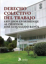 DERECHO COLECTIVO DEL TRABAJO ESTUDIOS EN HOMENAJE AL PROFESOR JOSE LU, de JOSE IGNACIO GARCIA NINET | portada del libro
