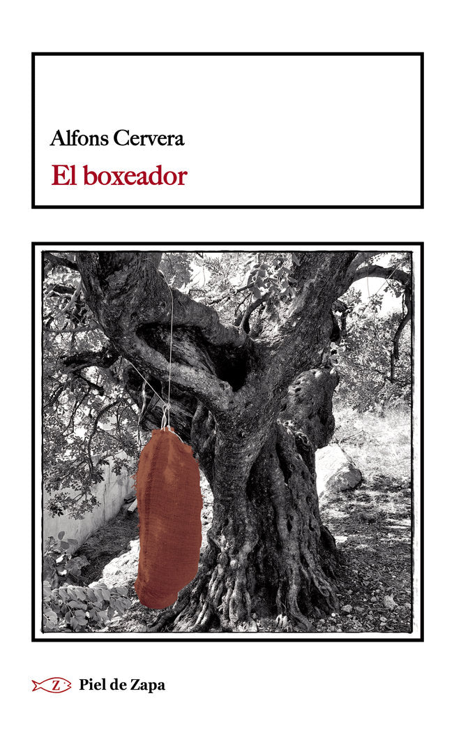 El boxeador, de CERVERA, ALFONS | portada del libro
