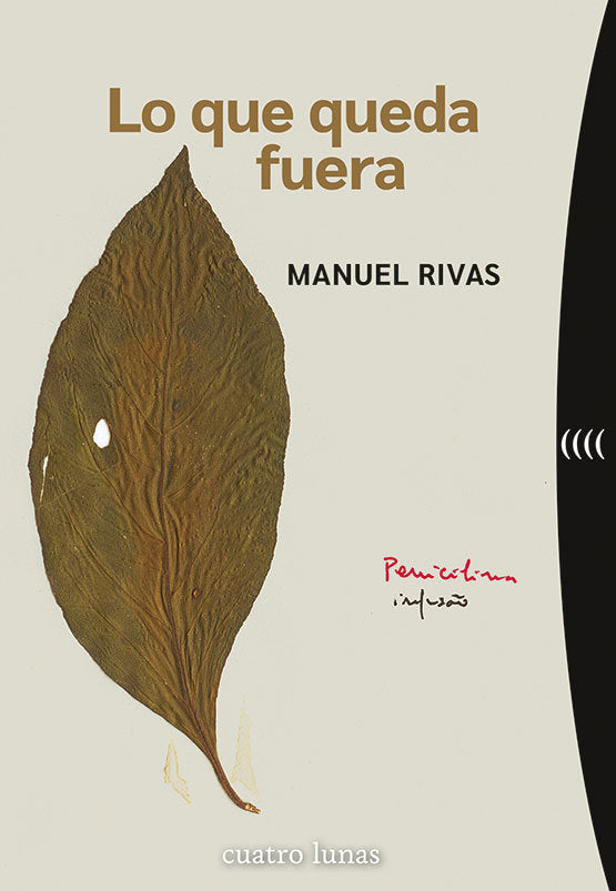 Lo que queda fuera, de RIVAS, MANUEL | portada del libro