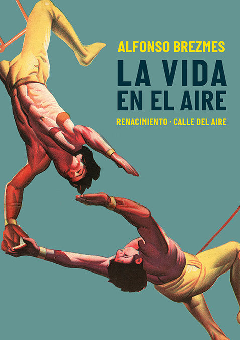LA VIDA EN EL AIRE, de BREZMES, ALFONSO | portada del libro