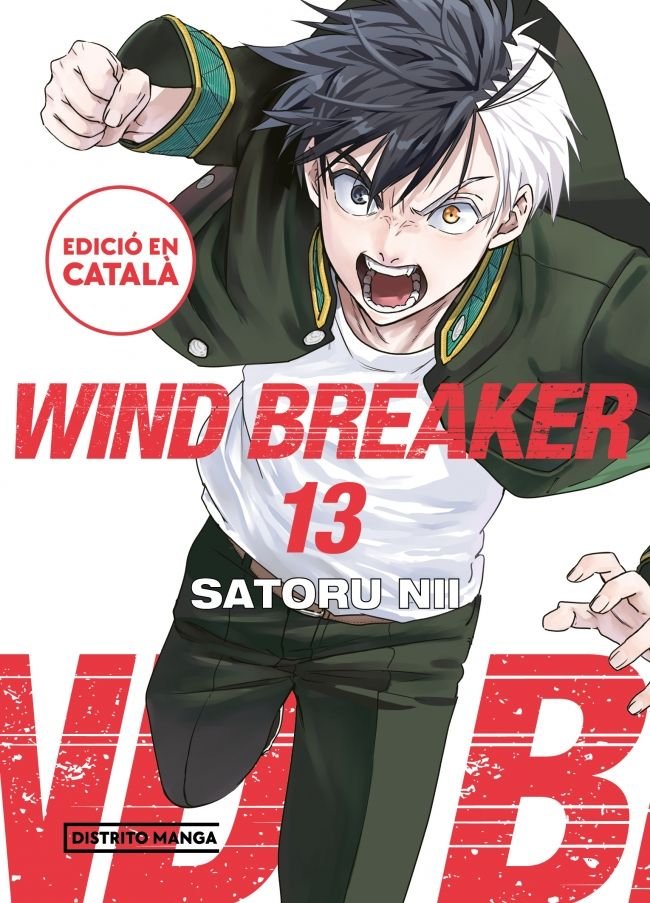 WIND BREAKER 13, de SATORU NII | portada del libro