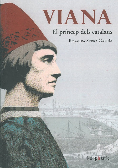 VIANA, de SERRA GARCIA, ROSAURA | portada del libro
