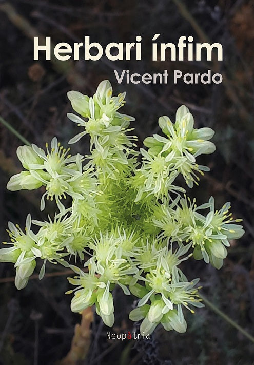Herbari ínfim, de Vicent | portada del libro