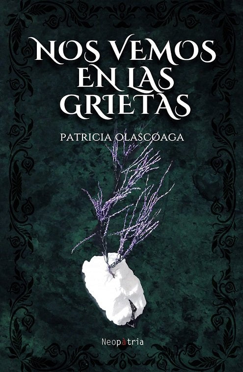 NOS VEMOS EN LAS GRIETAS, de OLASCOAGA, PATRICIA | portada del libro