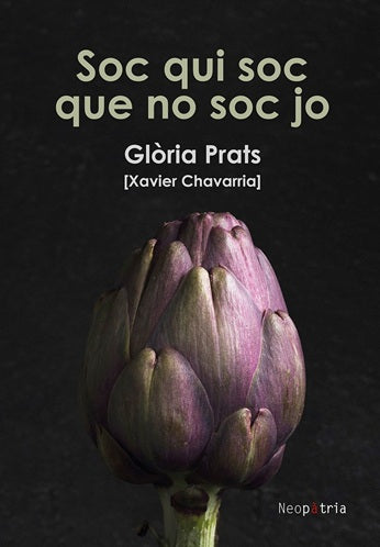 Soc qui soc que no soc jo, de CHAVARRIA, XAVIER | portada del libro