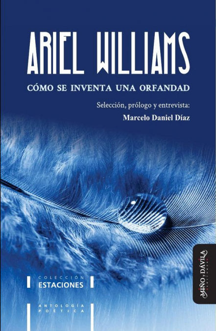 COMO SE INVENTA UNA ORFANDAD, de WILLIAMS, ARIEL | portada del libro
