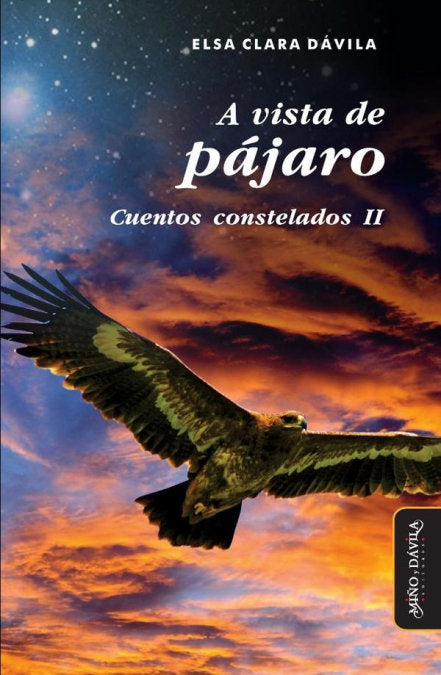 A VISTA DE PAJARO, de DAVILA, ELSA CLARA | portada del libro