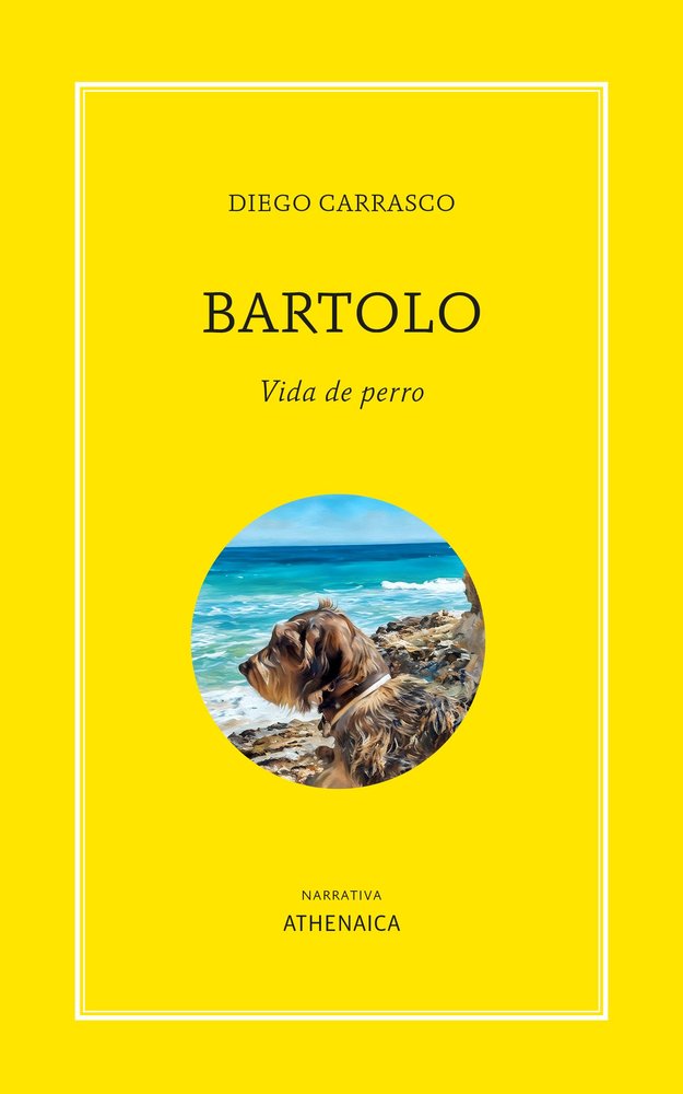 BARTOLO. VIDA DE PERRO, de CARRASCO, DIEGO | portada del libro