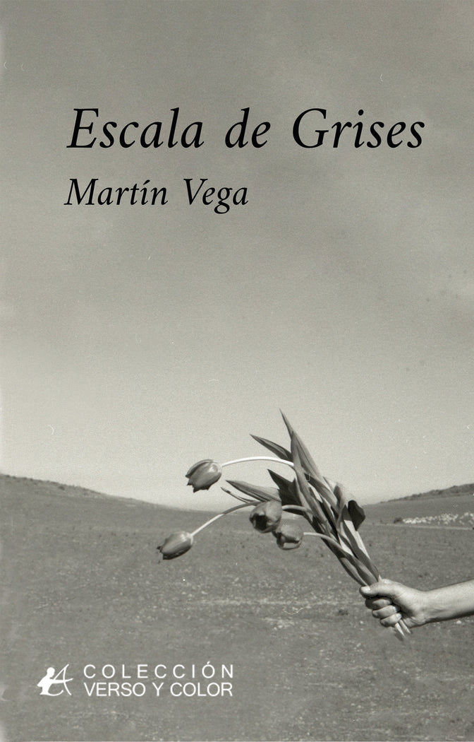 Escala de grises, de Vega, Martín | portada del libro