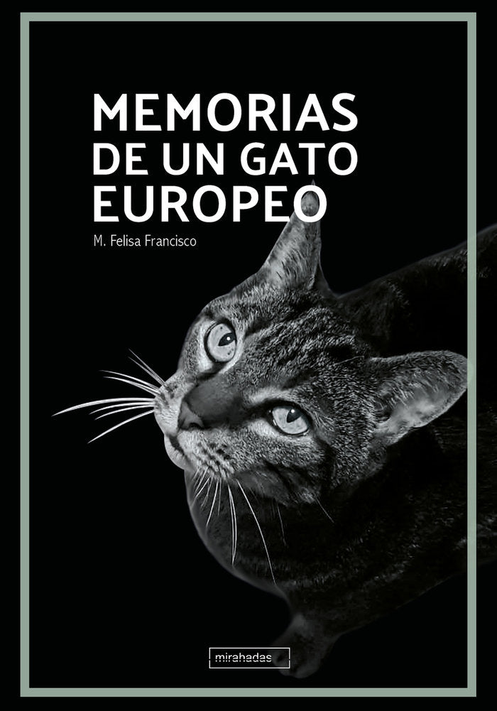 MEMORIAS DE UN GATO EUROPEO, de FRANCISCO, M. FELISA | portada del libro