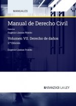 MANUAL DE DERECHO CIVIL, de LLAMAS POMBO, EUGENIO | portada del libro